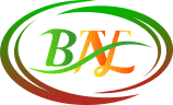 BN Consulting